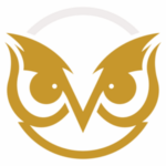 Smart Workflow Guru Logo